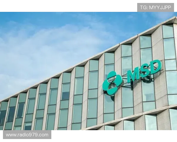 尊龙z6旗舰厅客户端安全稳定性分析，保障玩家账号信息安全的实用技巧